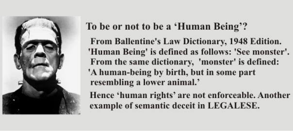 Dictionary definition of Human being..jpg